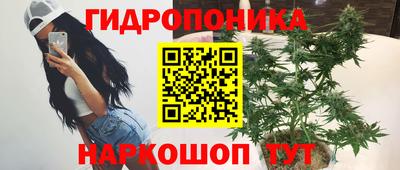 молекула духа Можга