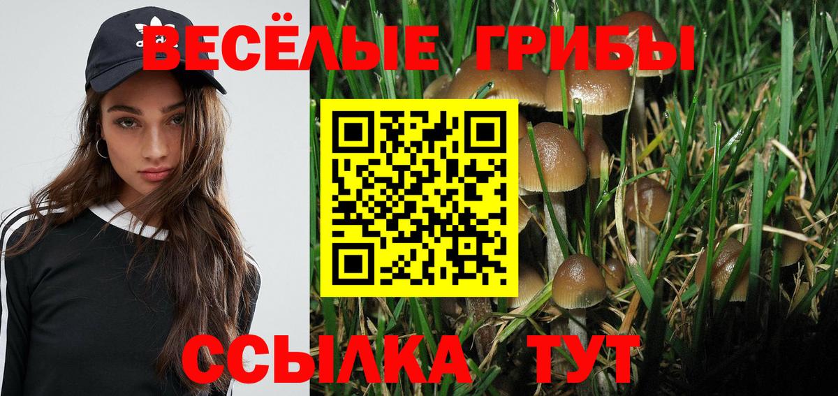 Галлюциногенные грибы ЛСД  Вход с VPN  Тихвин 